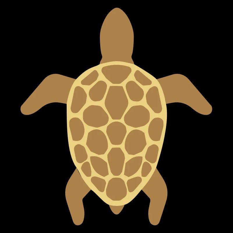 sea turtle