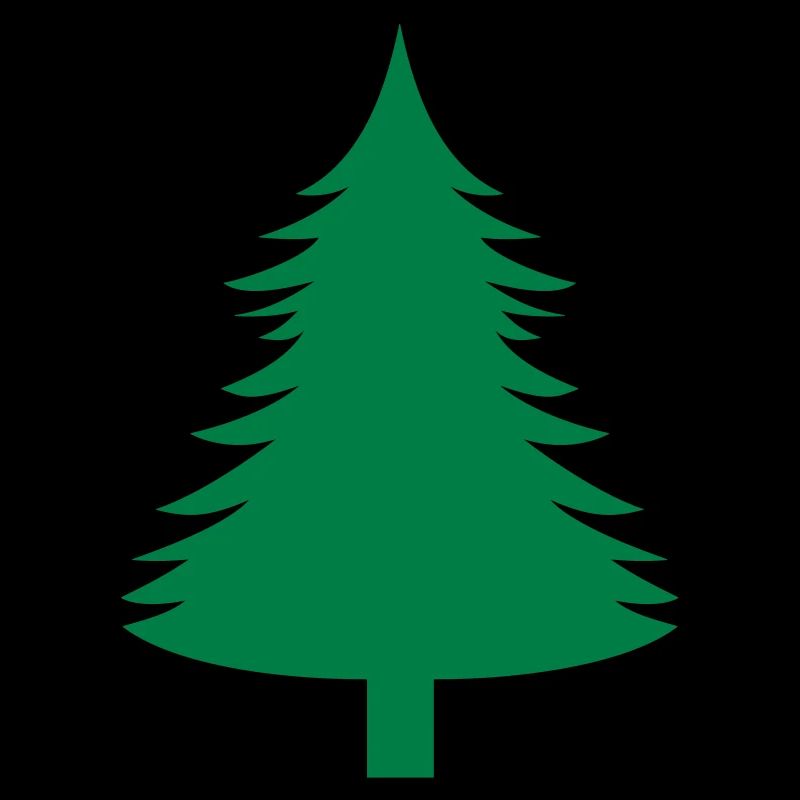 Fichte, Tanne, Wald1