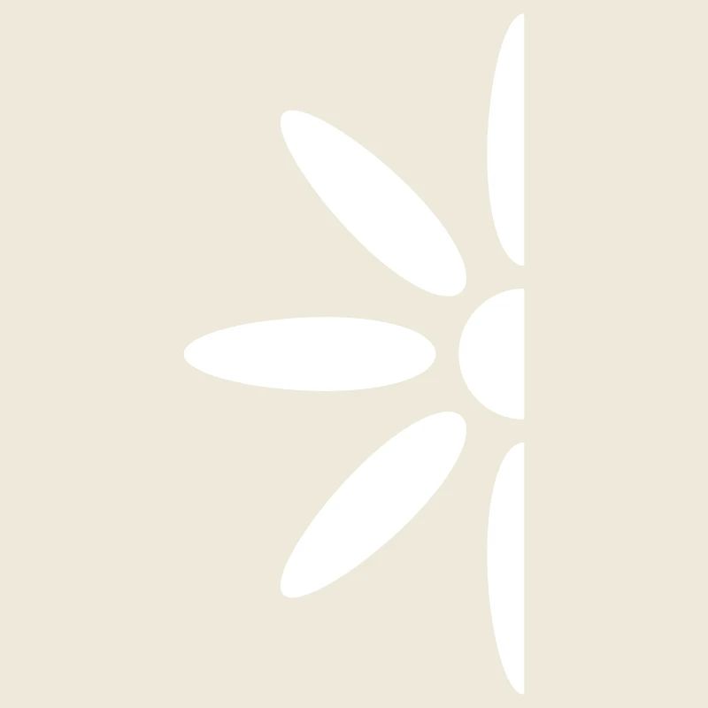 Small Daisy Half Flower White Decorative Beautiful