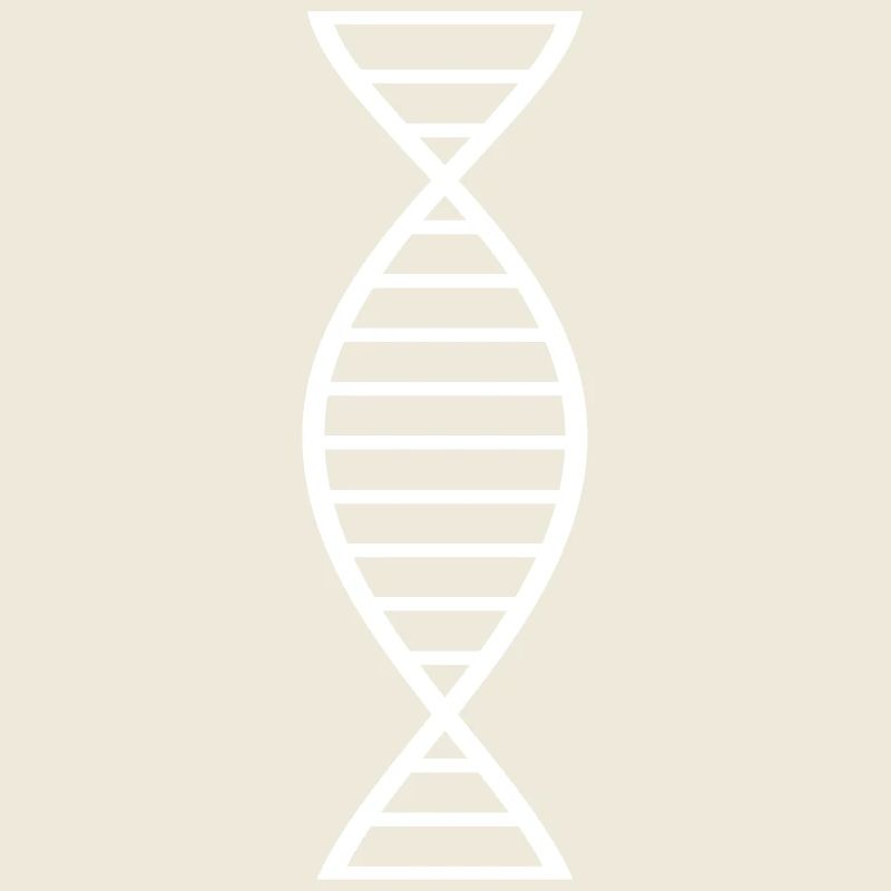 DNA