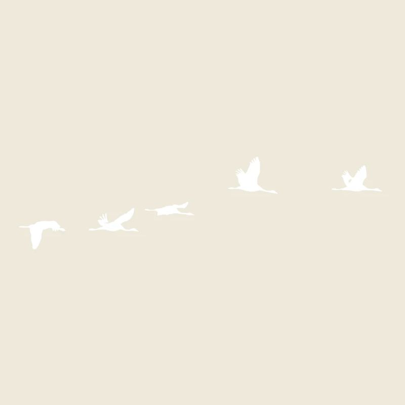 Oiseaux migrateurs blanc grue
