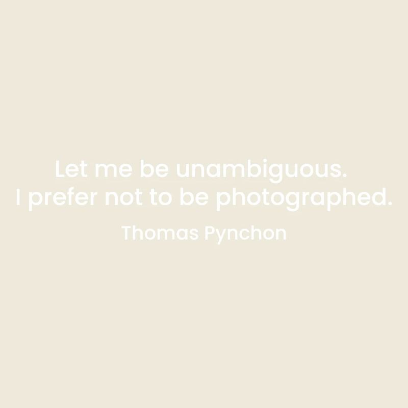 Citation de Thomas Pynchon