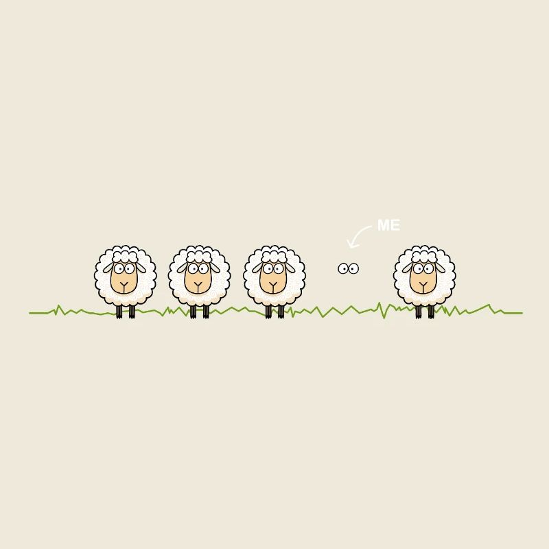Mouton noir – Illustration