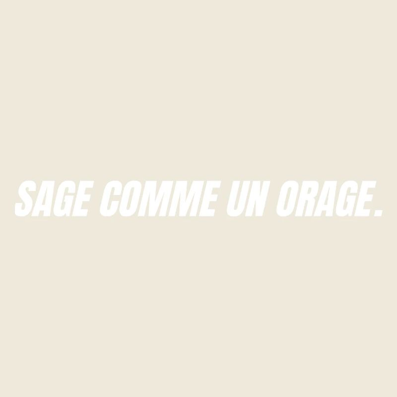 sage comme un orage