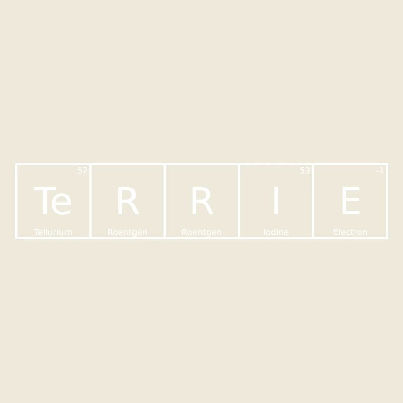 Terry Name First Name Chemistry Periodic Table Elements