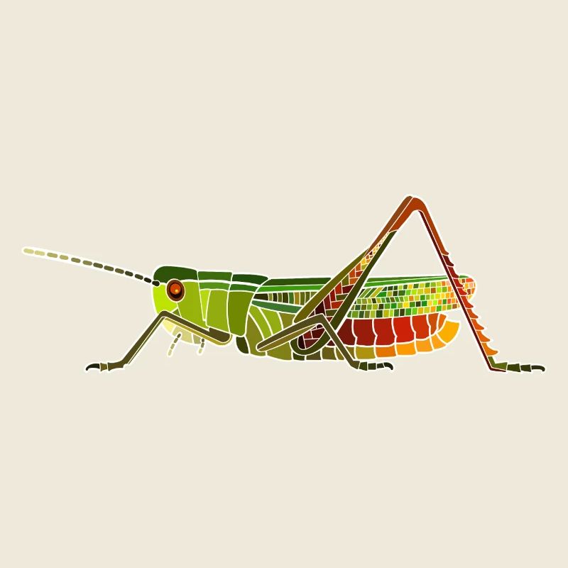 Heath grasshopper