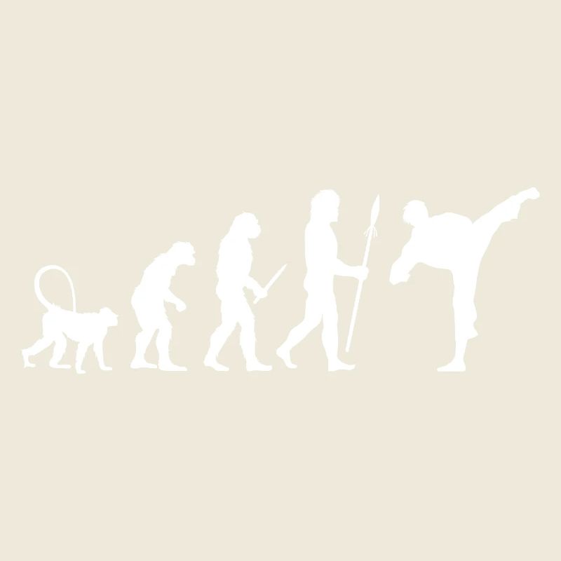 Karate Evolution