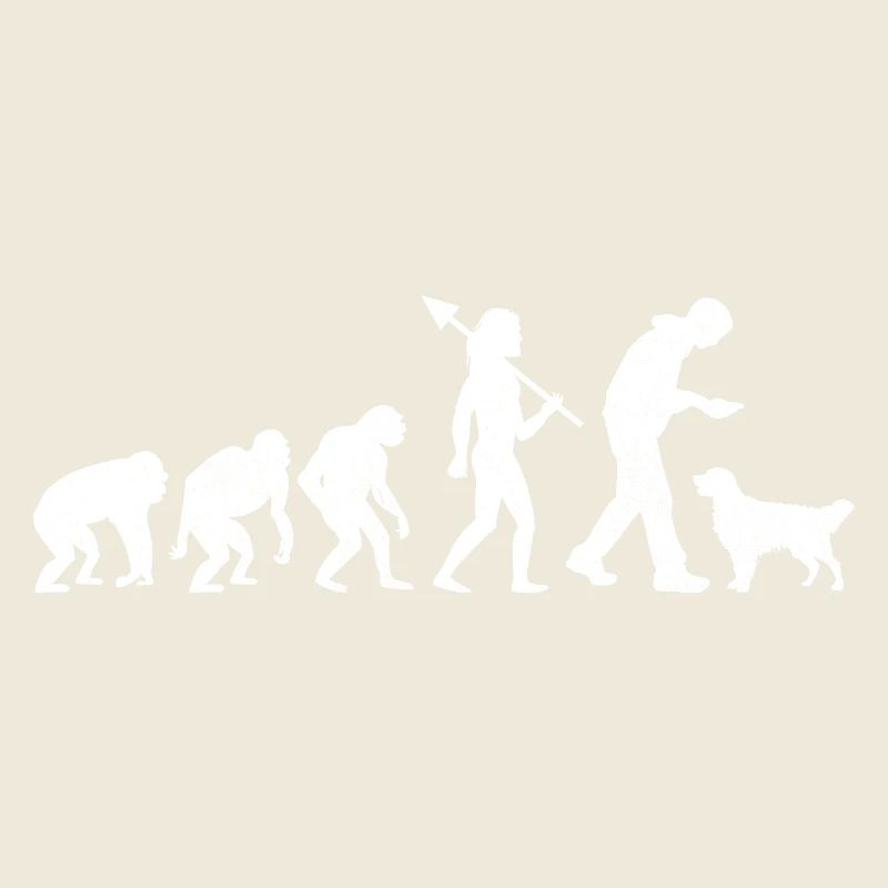 Evolution Golden Retriever GR Dog Retrievers