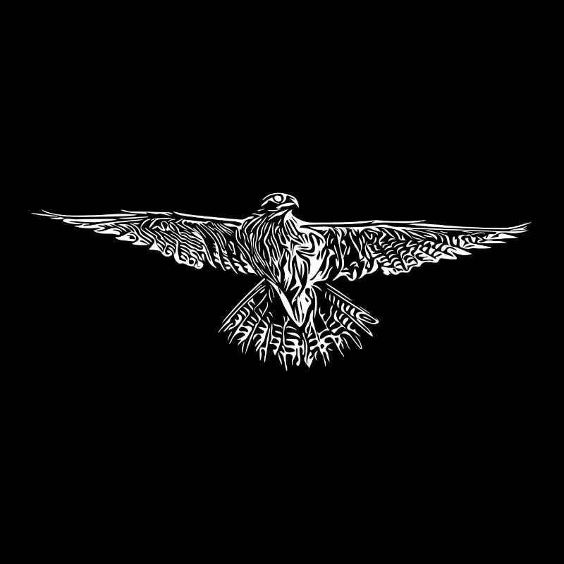 Falke im Flug