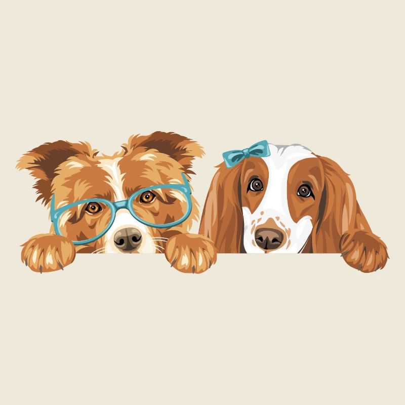 Chien Border Collie et Cocker Spaniel