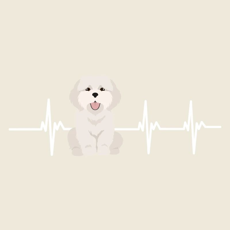 Battement de cœur coton de tulear
