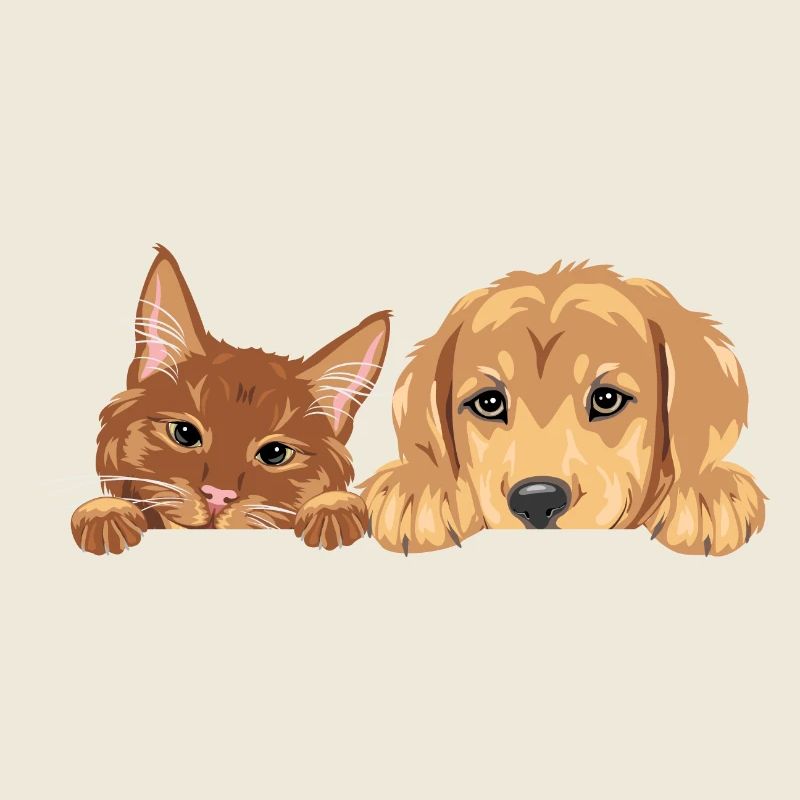 Chat roux et chien chiot Golden Retriever
