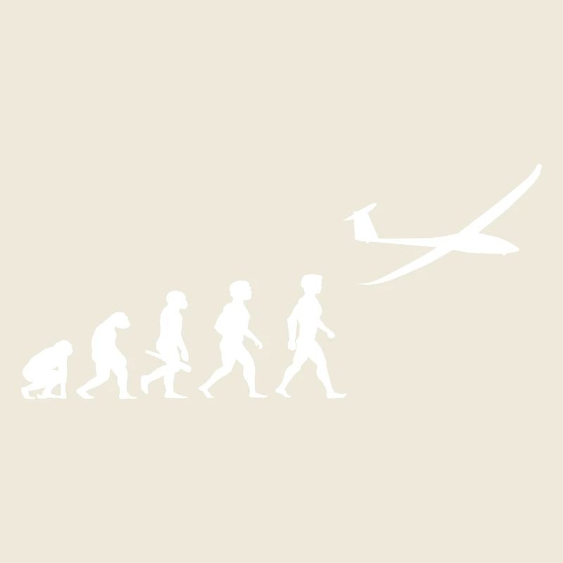 Evolution Segelflugzeug Segelflieger Flugzeug
