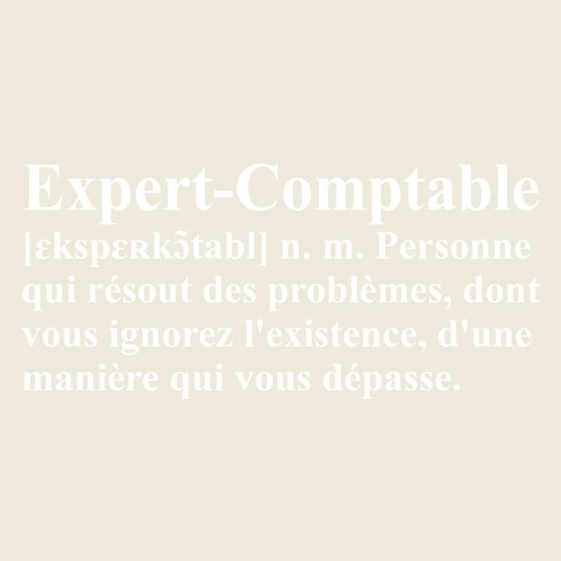 Expert-Comptable Définition