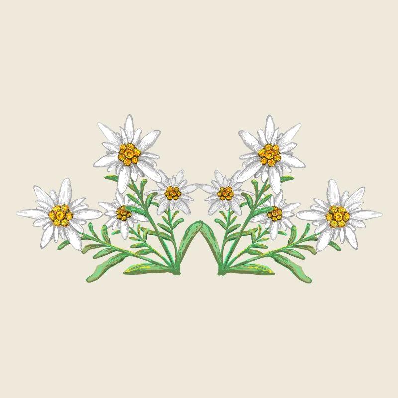 Edelweiss