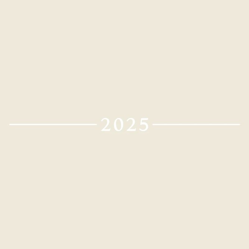 2025 Symbole Dash