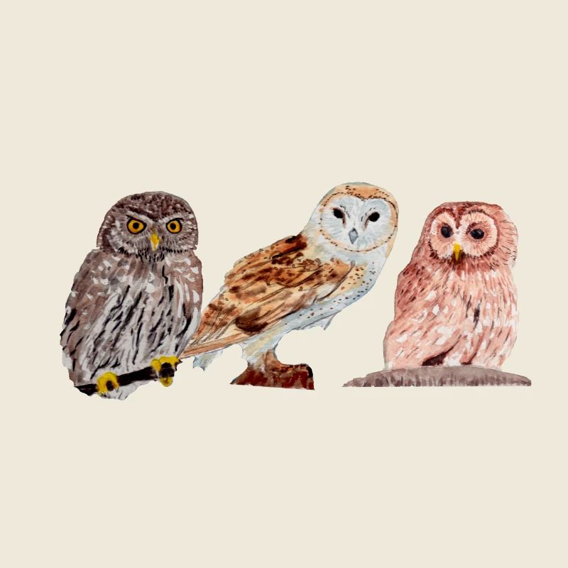 Trio von Eulen