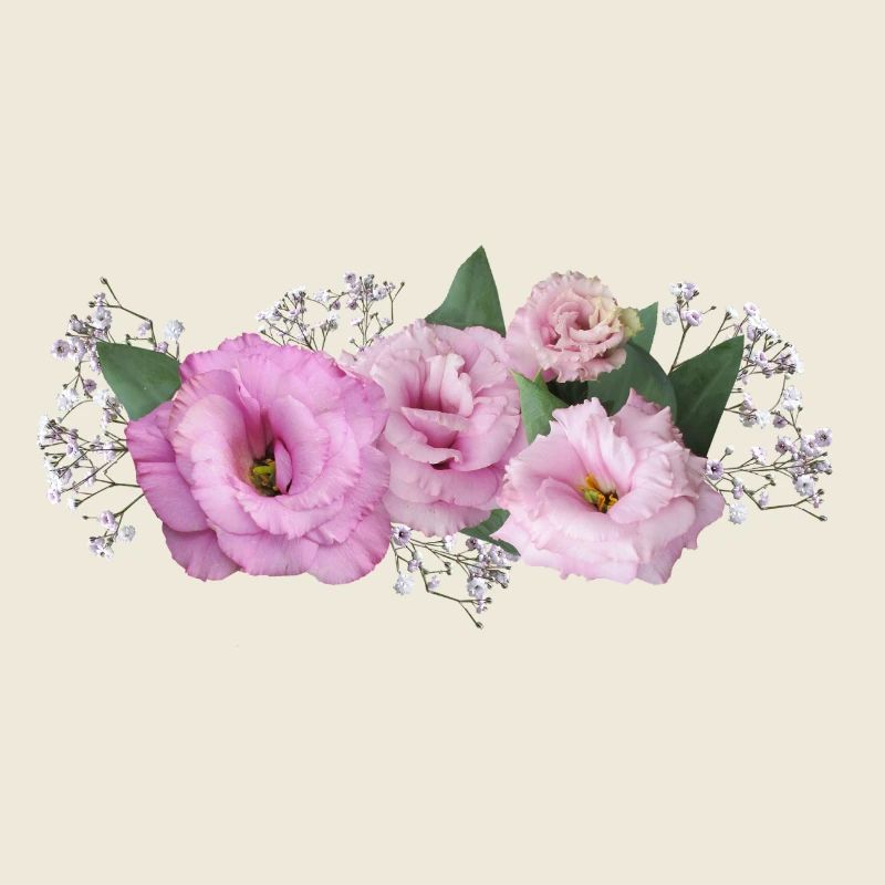 Fleurs Rose