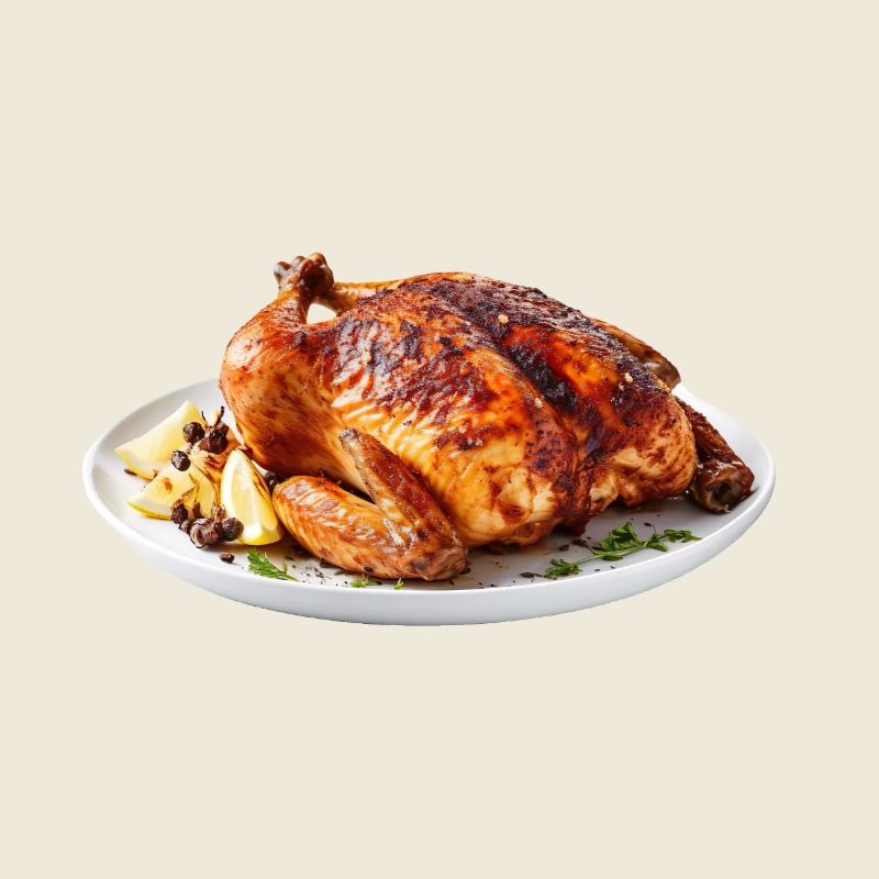 Fried pterosaur on the plate