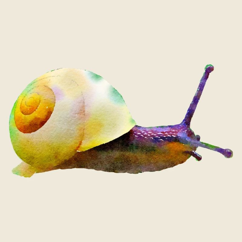 snail