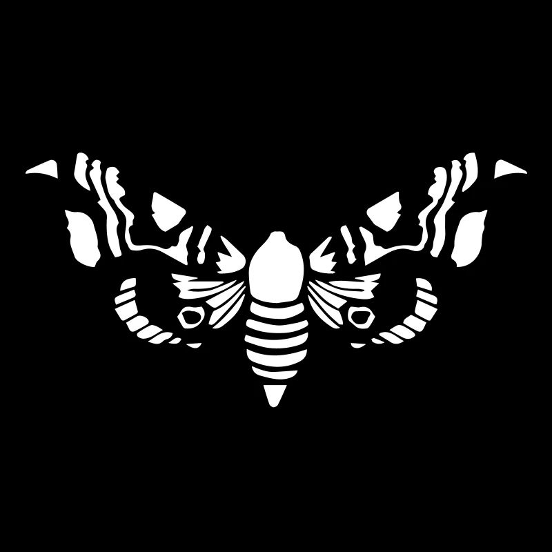 Moth / Moth