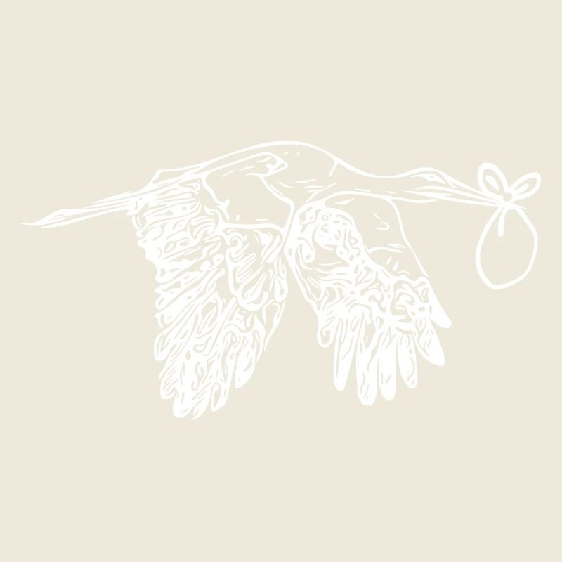 Flying Stork offspring Delivery