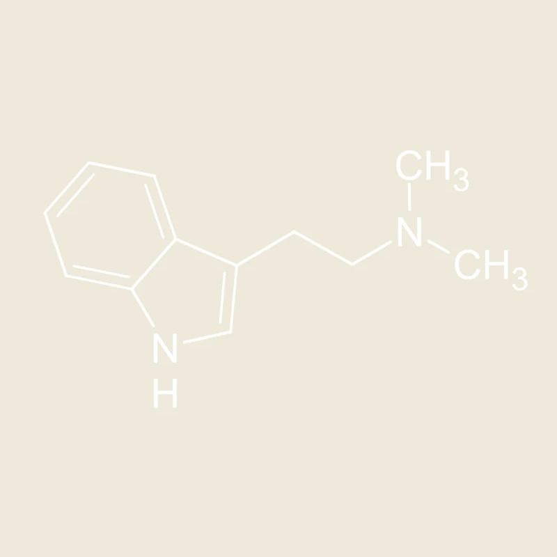 DMT Dimethyltryptamin Strukturformel