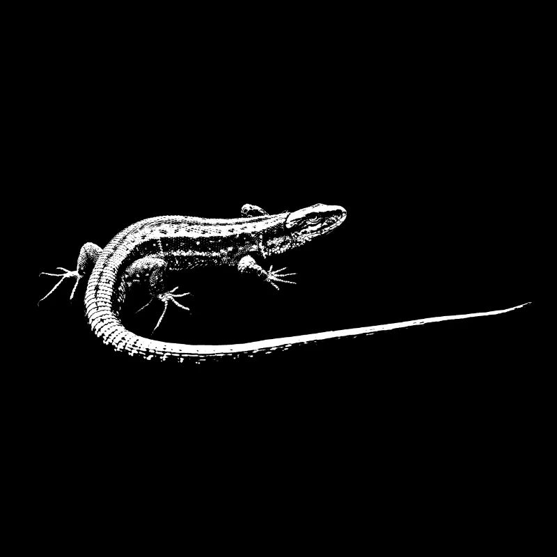Eidechse / Lézard