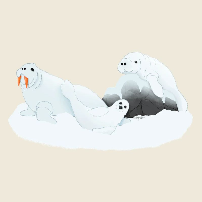 Conférences Tazz | Phoques endormis de l’Arctique