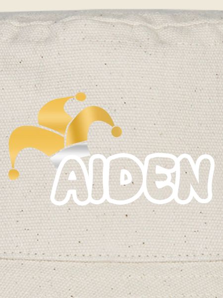 Carnaval Aiden