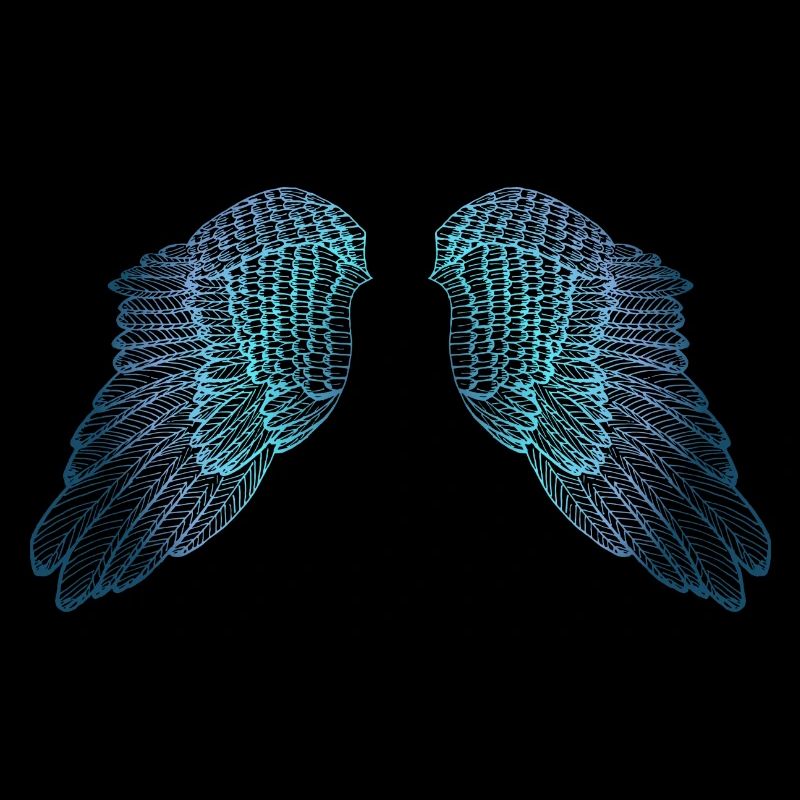Ailes d'ange aux tons bleus