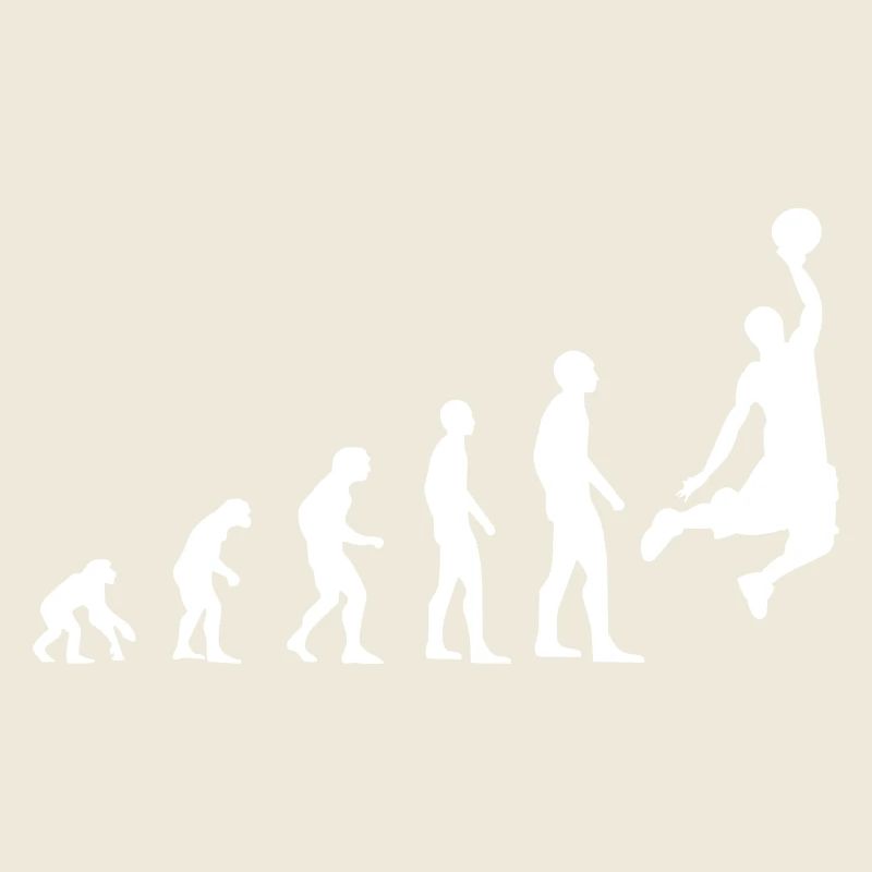 Evolution du basket