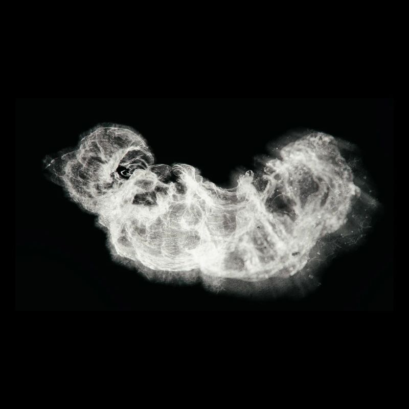 Nocturnal/Lost [First]