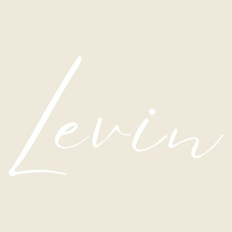 Levin Name T-Shirt Gift for Men