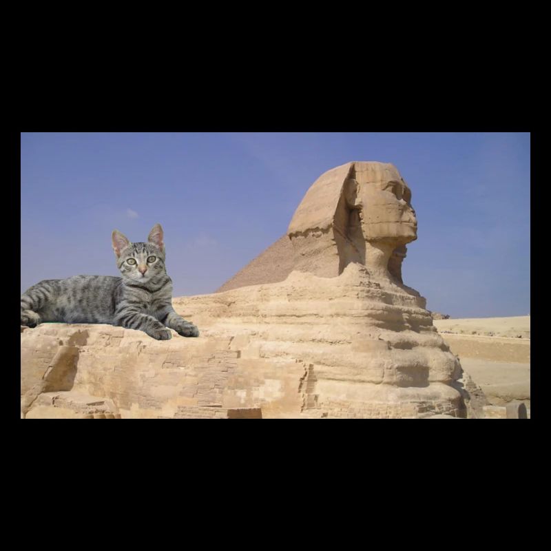 Cat and Sphinx