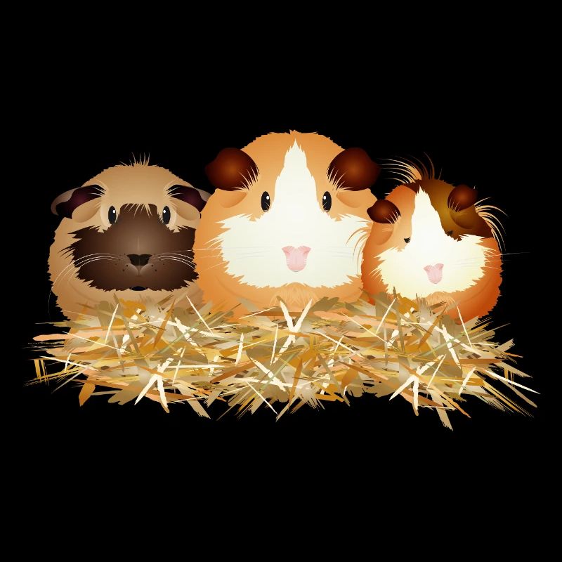 Trois mignons cochons d’Inde en paille – Friends