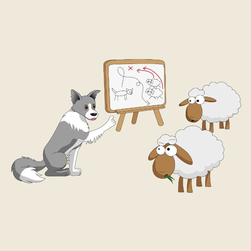 Border Collie Coach