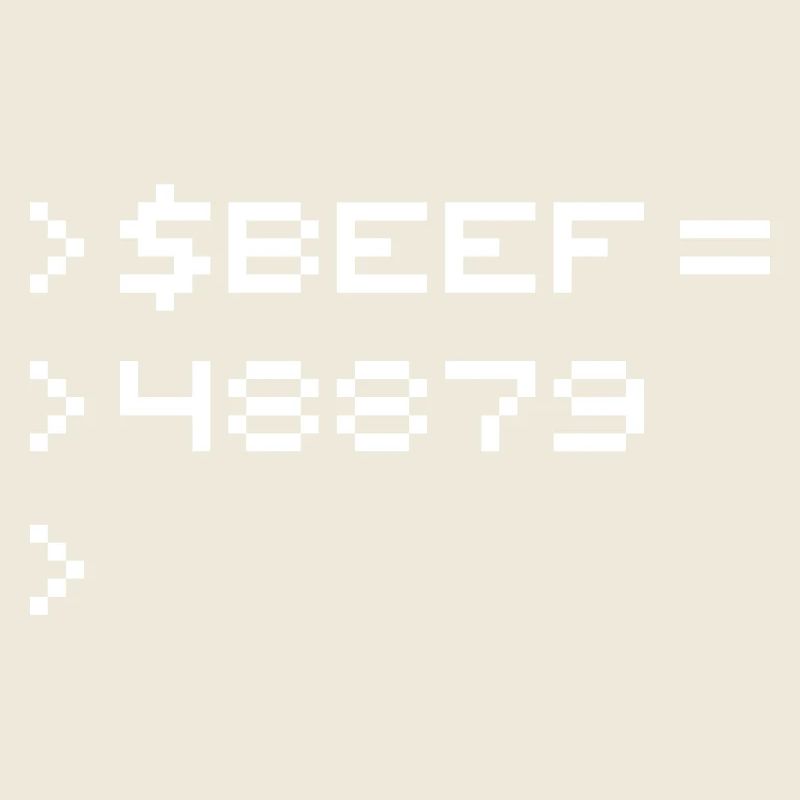 BEEF 8-bit Code Nerd Pixel Terminal Rétro