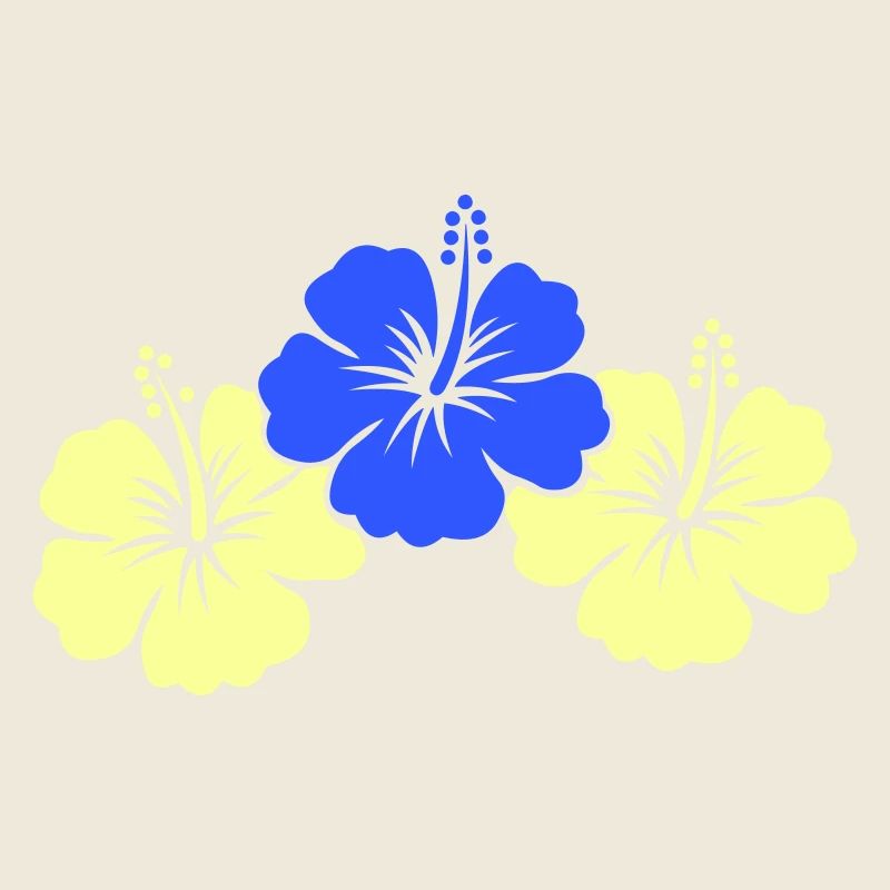 Fleurs d’hibiscus