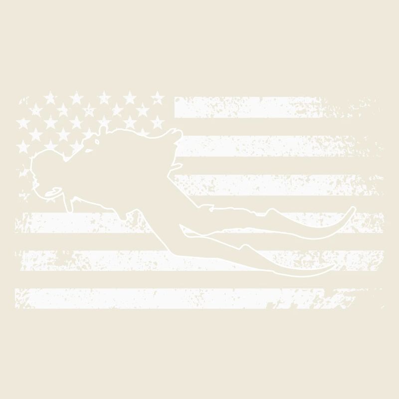 Surfing Silhouette on Weathered US Flag