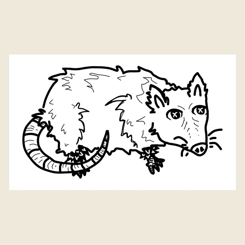 Opossum