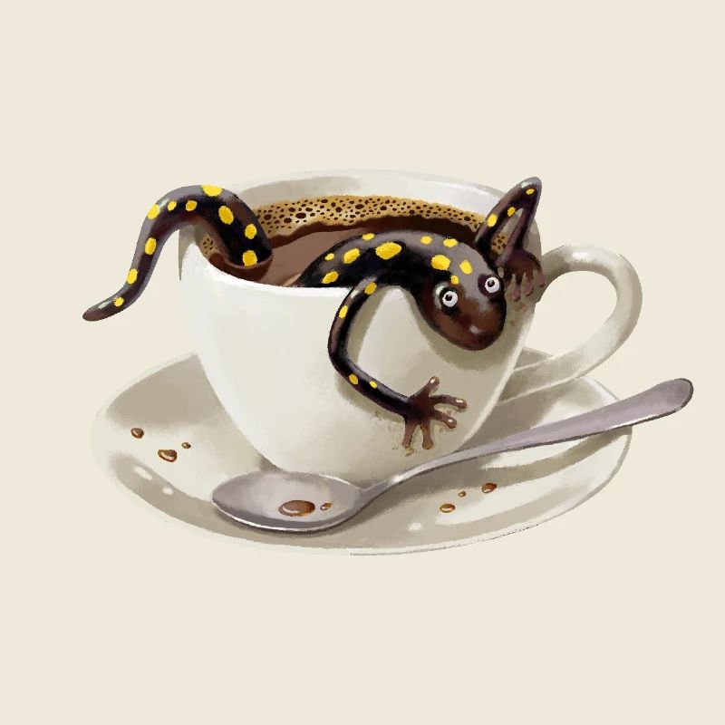 Salamandre du café 3