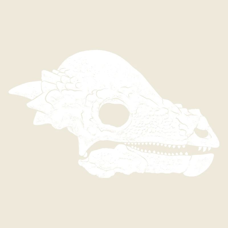 Pachycephalosaurus Fossil Schädel