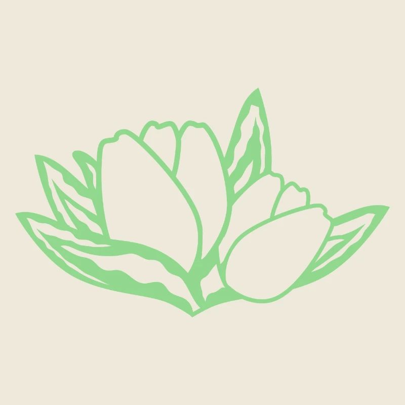Tulipe