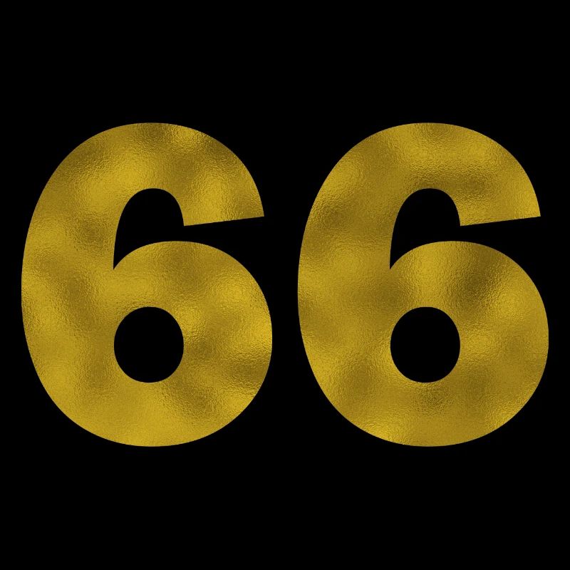 Anniversaire 66 ans