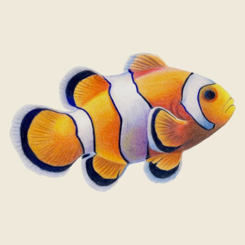 Poisson-clown