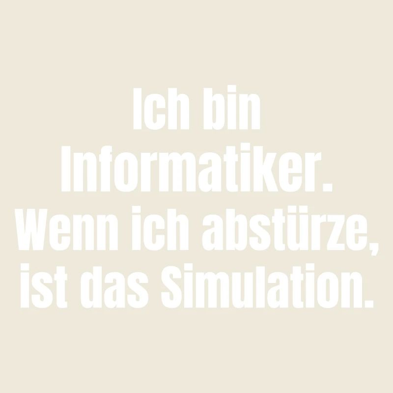 Ich bin Informatiker – Absturz als Simulation