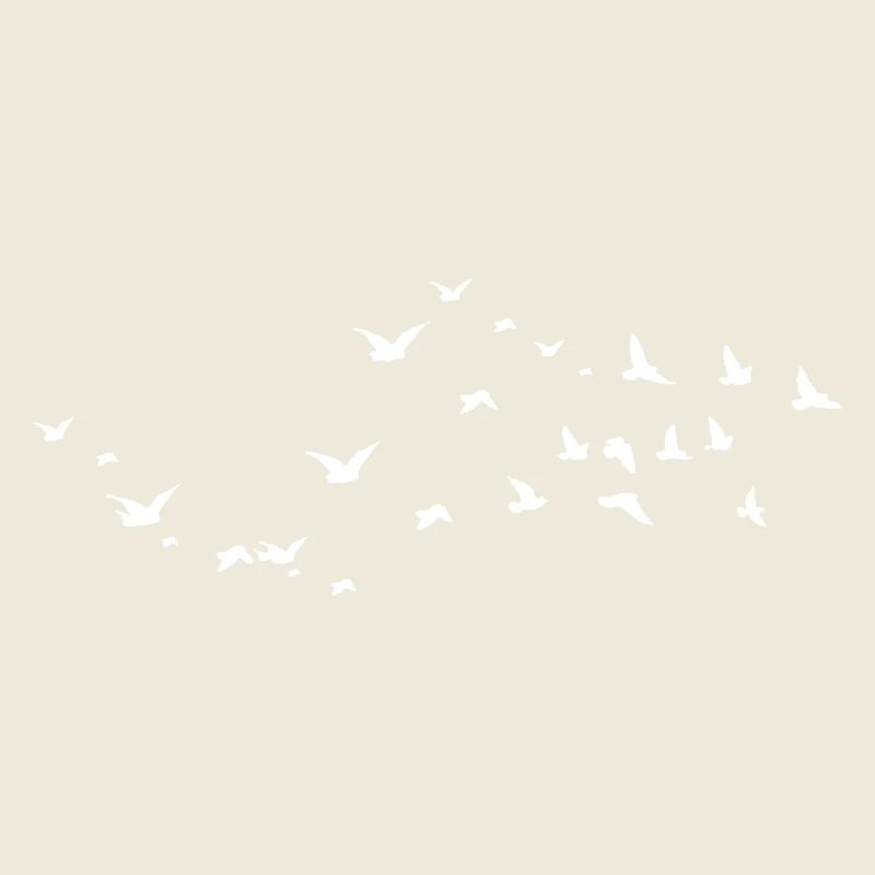 Birds - Oiseaux