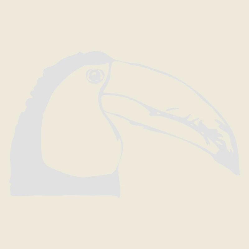 Toucan de profil