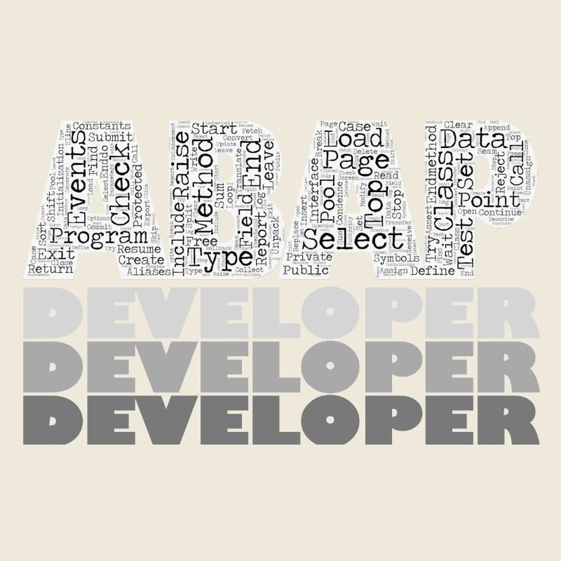 ABAP Developer